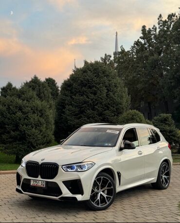 runx alex: BMW 5 series: 2019 г., 0.3 л, Автоматические, Бензин, Внедорожник