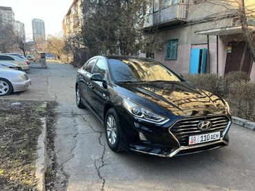 хундай саната 2018: Hyundai Sonata: 2018 г., 2 л, Автомат, Газ, Седан