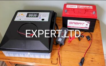 İnkubatorlar: Çin, Tam avtomat, Bütün növ quşlaq üçün, Zəmanət ilə — 3