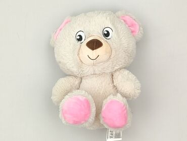 Mascot Teddy bear, condition - Perfect