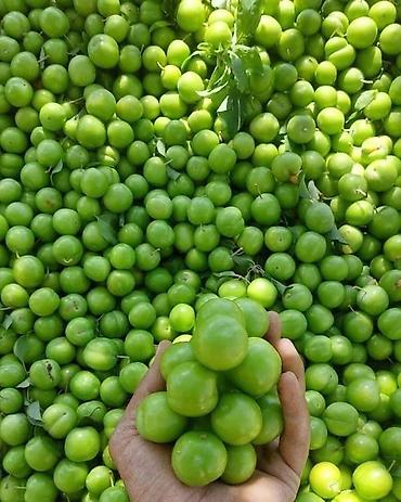 Alça təbiidir. Hamilə xanımlara və uşaqlar rahatlıqla yeyə bilər