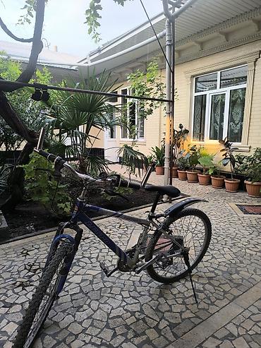 178: Горный велосипед Lespo (Zoom/Lespo на раме), классический хардтейл — 3