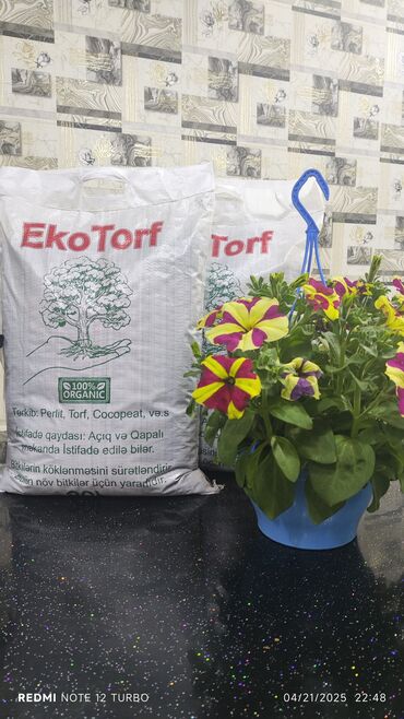 Salam ən keyfiyetli torf satışda Ekotorf. 1 .Tərəvəz şitilərin
