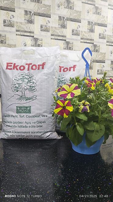 gubrə satışı: Torf . Eko torf . Gübrə .kakabit. Salam yeni məsulumuz.Ekotorf — 5