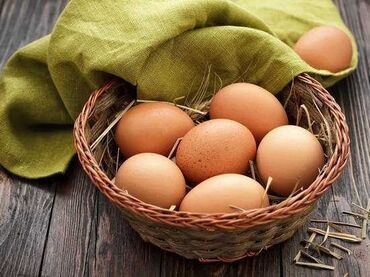 Молочные продукты и яйца: Продаю яйца категории с1(оптом).Яйцо крупное и очень хорошего качества