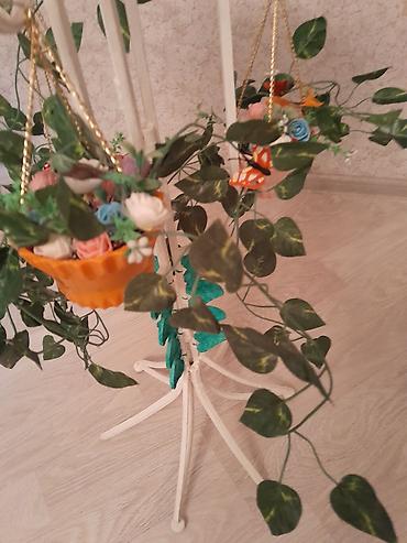 akvarium zavod istehsali: Yumru akvarium üçün əşyalar — 4