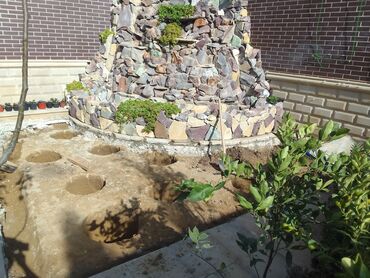 Torf: Torf kakabit peyin qara torpaq satışı 150 ədədən çox alana -da lalafo.az — 19 Torf: Torf kakabit peyin qara torpaq satışı 150 ədədən çox alana — 19