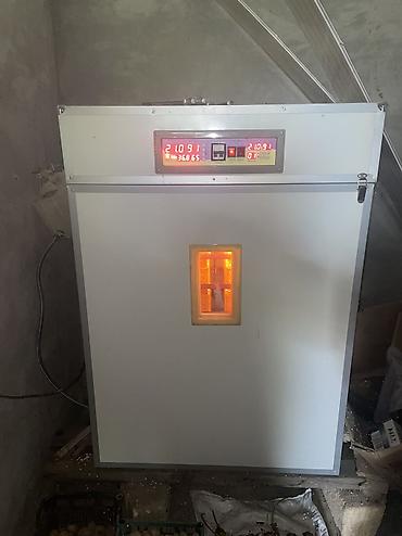 mini elektrik sobasi: İnkubator satılır, yenidir 1 il istifadə olunub, üzərində elektrik — 2
