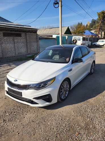 крепления для велосипеда на машину: Kia K5: 2018 г., 2 л, Автомат, Бензин, Седан