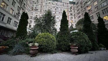 сниму квартиру в центре: 3 бөлмө, 82 кв. м, Элитка, 2 кабат, Евроремонт