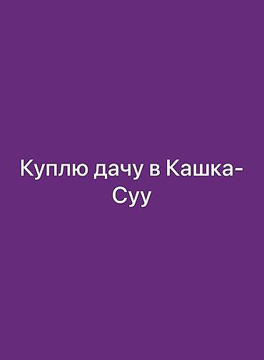 продаю в кейсар: Куплю дачу в кашка суу — 1
