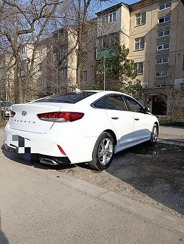 Другие автоуслуги: Сдаю в аренду Hyundai Sonata, белый седан бизнес-класса (рестайлинг) — 4