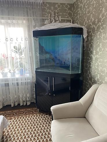 даром собаки: Угловой аквариумный комплект с тумбой и оборудованием — 1