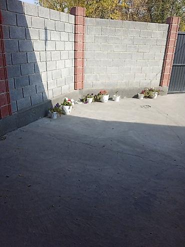 Продажа квартир: 5 и более комнат, 80 м², 1 этаж, Косметический ремонт at lalafo.kg — 13 Продажа квартир: 5 и более комнат, 80 м², 1 этаж, Косметический ремонт — 13