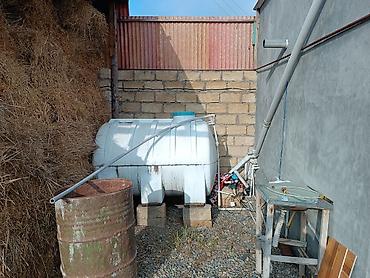 Torpaq sahələrinin satışı: 25 sot, Kənd təsərrüfatı, Mülkiyyətçi, Kupça (Çıxarış) -da lalafo.az — 6 Torpaq sahələrinin satışı: 25 sot, Kənd təsərrüfatı, Mülkiyyətçi, Kupça (Çıxarış) — 6