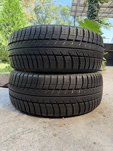 Шины 205 / 50 / R 16, Всесезонная, Б/у, Пара, Легковые, Германия, GoodYear