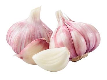 Продукты питания: Чеснок Оптом, Самовывоз — 1