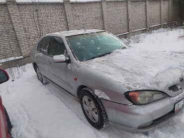 Nissan: Nissan Primera: 2001 г., 2 л, Механика, Дизель, Хэтчбэк