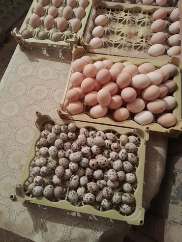 novruz bayrami ucun yumurta bezekleri: Yumurta