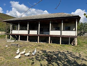 torpaq sirvan: 11 sot, Kupça (Çıxarış) — 1