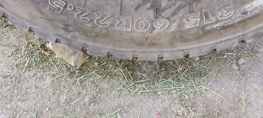 шина на авто: Грузовая шина 315/60 R22.5 - Размер: 315/60 R22.5 (нанесено на