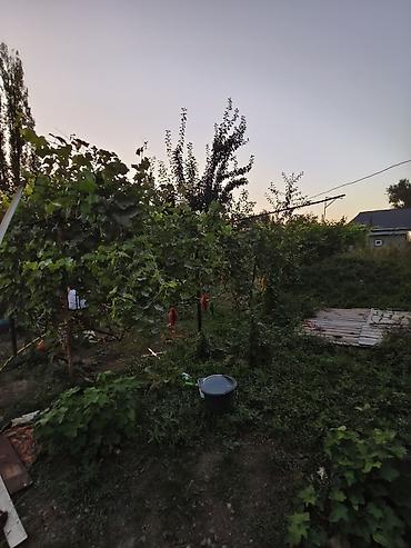 Дома: 🏡 ПРОДАЁТСЯ ДОМ — 13 СОТОК! Продаётся уютный дом на участке 13 соток — 4