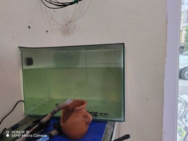 akvarium dekorlari: Akvaryum satilir 40 litir su tutur