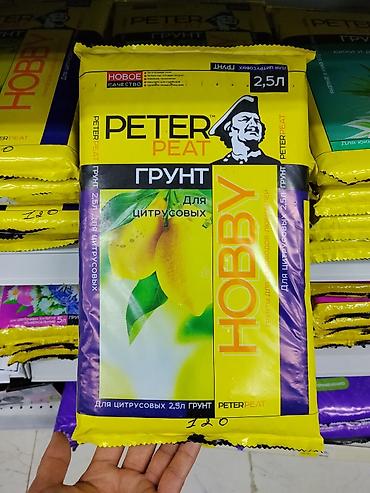 Грунт для цитрусовых Peter Peat Hobby, 2,5 л. Специализированный at lalafo.kg Грунт для цитрусовых Peter Peat Hobby, 2,5 л. Специализированный