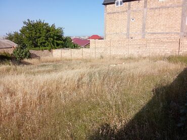 Torpaq sahələrinin satışı: 3 sot, Mülkiyyətçi, Kupça (Çıxarış) — 10