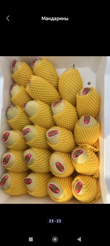 Мандарины: Мандарины Оптом — 4