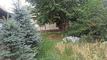 калодес ош: Продам дом 🏠Алатоо1 4ком +кухня +с/у хоз постройка баня коммуникация — 5
