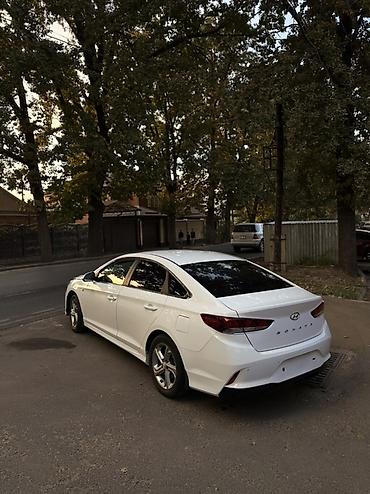 соната нью райс характеристики: Hyundai Sonata: 2019 г., 2 л, Автомат, Газ, Седан — 9