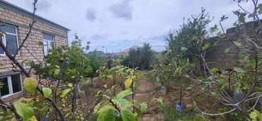 Bağ evlərinin satışı: Bakı, Fatmayı, 286 kv. m, 8 otaq, Hovuzsuz, İşıq, Su — 21