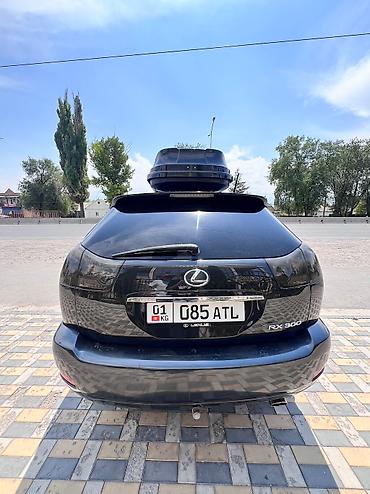 Lexus: Lexus RX: 2004 г., 3 л, Автомат, Бензин, Внедорожник — 9