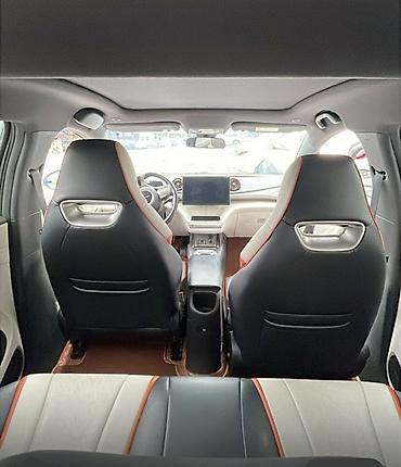 толка оптом: BYD Dolphin: 2022 г., Электромобиль, Хэтчбэк — 3
