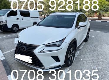 левый руль форестер: Lexus NX: 2021 г., 2 л, Автомат, Бензин, Кроссовер