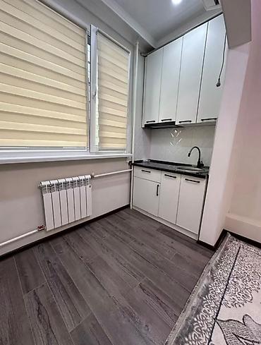 Продажа квартир: Студия, 23 м², Тунгуч мкр 106 серия улучшенная, 2 этаж, Евроремонт — 4