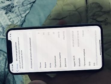 Apple iPhone: IPhone X, 256 ГБ, 72 % — 3