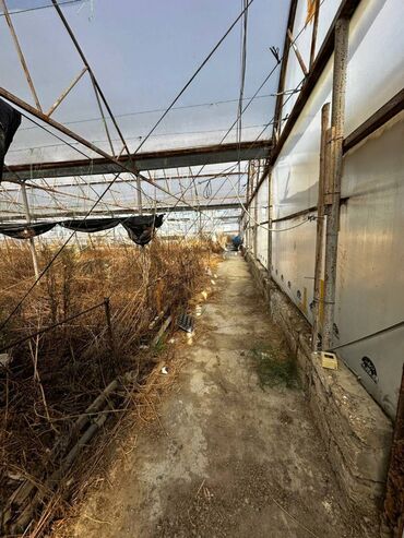 Kommersiya daşınmaz əmlakının satışı: Abseron Rayonu Məhəmmədli Qəsəbəsində Parnik satilir. Torpaq sahəsi 60 -da lalafo.az — 11 Kommersiya daşınmaz əmlakının satışı: Abseron Rayonu Məhəmmədli Qəsəbəsində Parnik satilir. Torpaq sahəsi 60 — 11