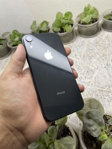 айфон 7 256 гб цена в бишкеке: IPhone Xr, Черный