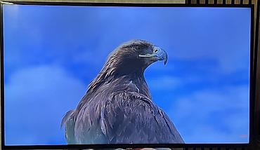 asılqan satışı: İşlənmiş Televizor Samsung LED ekran 48" HD (1366x768), Ünvandan götürmə — 4