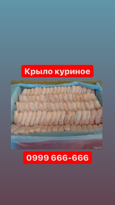 кости окорочка: Крыло куриное Реализуем куриную продукцию МДМ(мясо механической