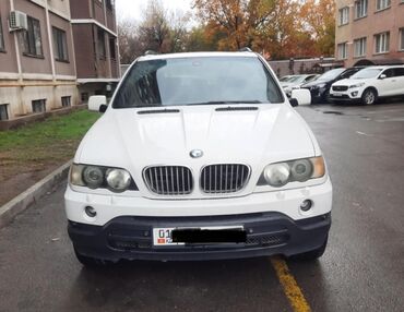 BMW: BMW X5: 2003 г., 4.4 л, Автомат, Бензин, Кроссовер