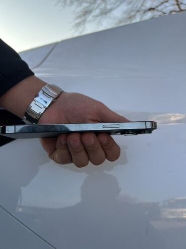 Apple iPhone: IPhone 13 Pro Max, Б/у, Графит, Чехол, 81 % — 4