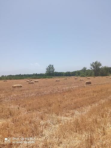 Буржуйки: Твердотопливные отопительные устройства и аксессуары,мойки Аквабласт — 55