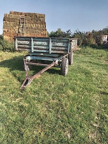 kotanlar traktor: Traktor Belarus (MTZ) 250, 2023 il, 89 at gücü, motor 0.1 l, Yeni — 6