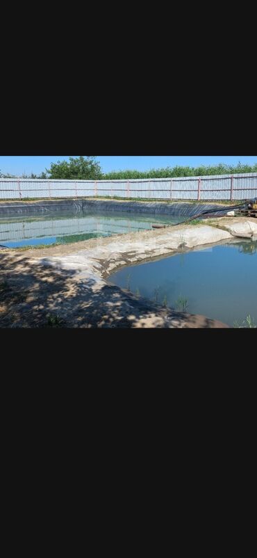 Ağaclar: Məhsul: Çiçəklənmə dövründə meyvə bağı (görünən ağaclar — 9