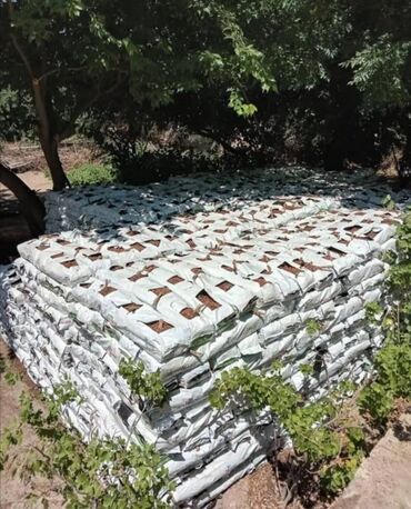 Kakabit: Kakabitler. Koko CHAMPİON Meşokun Biri 40 qəpik. Meşokda 2 kq olur -da lalafo.az — 10 Kakabit: Kakabitler. Koko CHAMPİON Meşokun Biri 40 qəpik. Meşokda 2 kq olur — 10