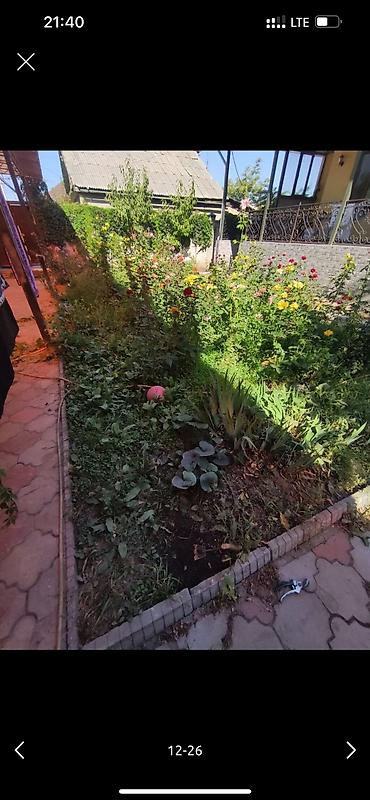 Дворники, садовники: 🌱Я садовник приходящий раз в неделю уборку сада генеральный уборка at lalafo.kg — 9 Дворники, садовники: 🌱Я садовник приходящий раз в неделю уборку сада генеральный уборка — 9