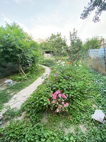 Продажа коттеджей и домов: 2 комнаты, 65 м², 3 соток, Бишкек, Орто-Сай с. Риэлтор — 11